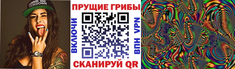 Купить  Чехов  Галлюциногенные грибы MAGIC MUSHROOMS 